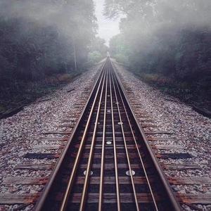 无码免费婬AV片在线观看
